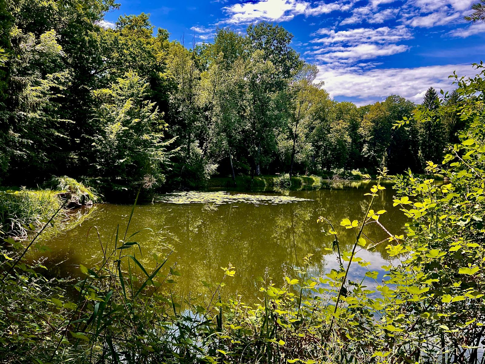 Ein naturnahes Idyll. Der Gralla Weiher des AFV Graz