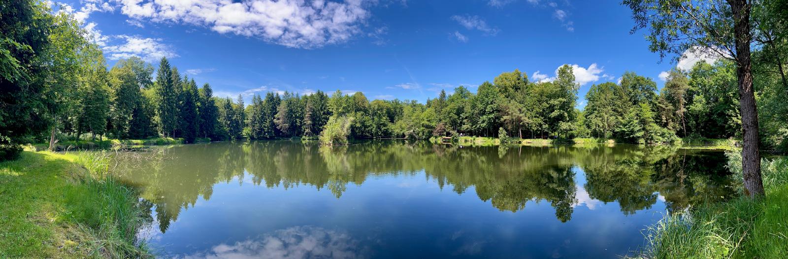 Ein naturnahes Idyll. Der Gralla Weiher des AFV Graz