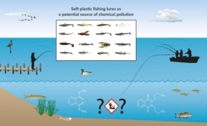 Gummifische giftig für Fische und Menschen? Studie enthüllt neue Erkenntnisse!