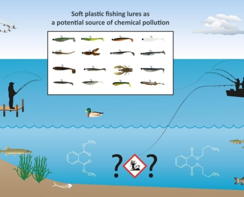 Gummifische giftig für Fische und Menschen? Studie enthüllt neue Erkenntnisse!